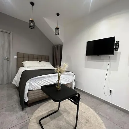 Appartement Proche Rer Cdg Parc Des Expos *